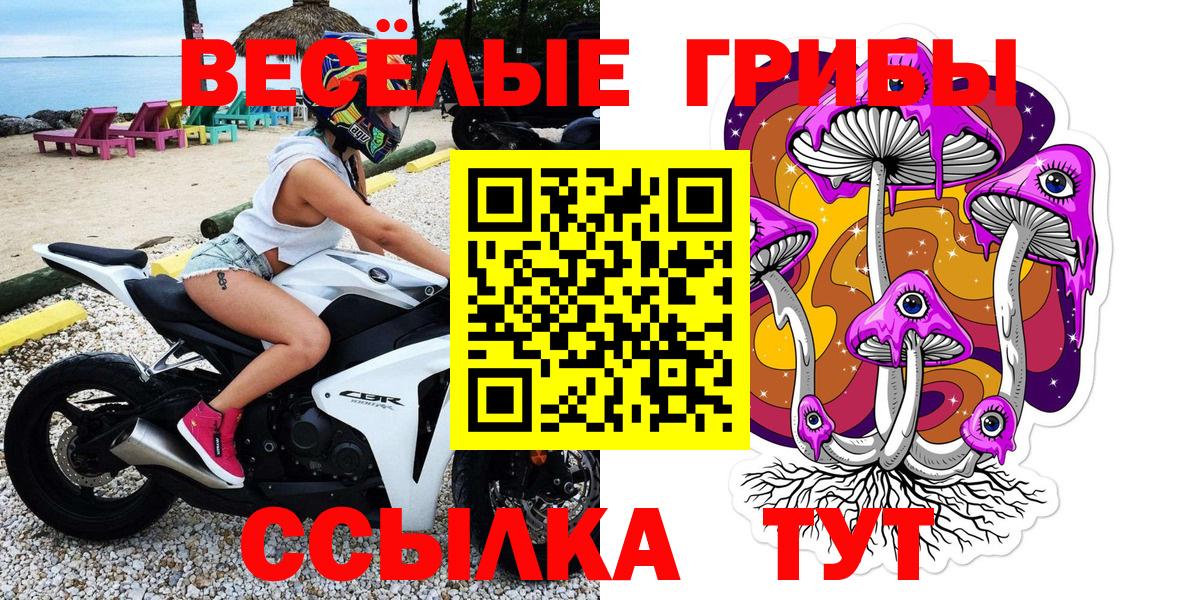 где купить наркоту  Псилоцибиновые грибы Psilocybe  Вход с VPN  Химки 